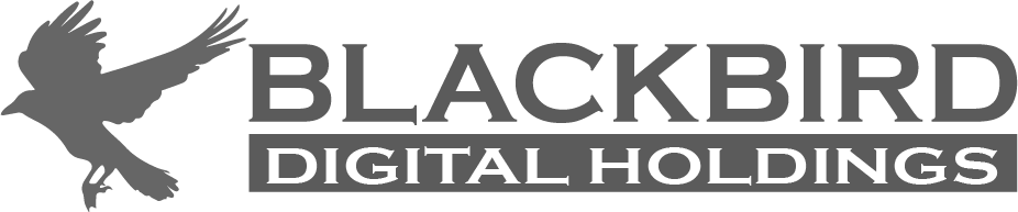 Blackbird Digital Holding LLC | Custom Development and Business Apps